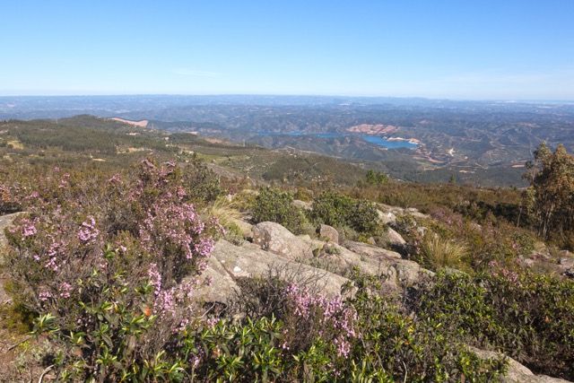 11. MIN MarketIniciative290©carlosduarte-2 Medium.jpeg