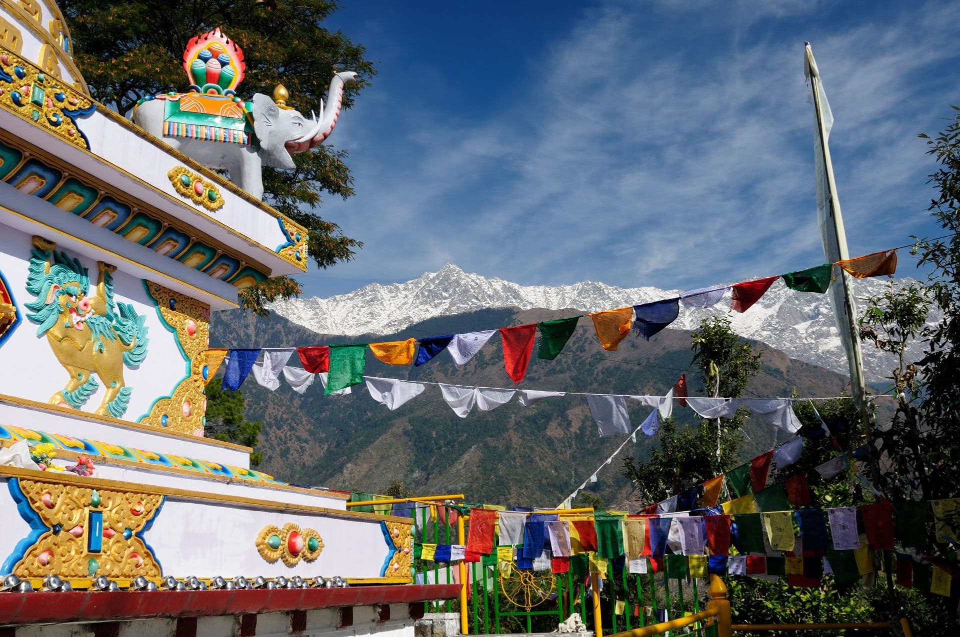 Kalaczakra temples in Dharamsala, McLeod Ganj. View no the Himalaya mountains.