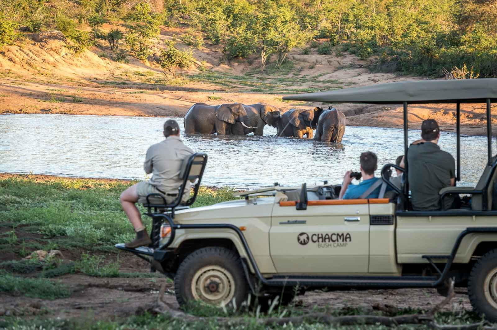 Experience Safari At Chacma Bush Camp