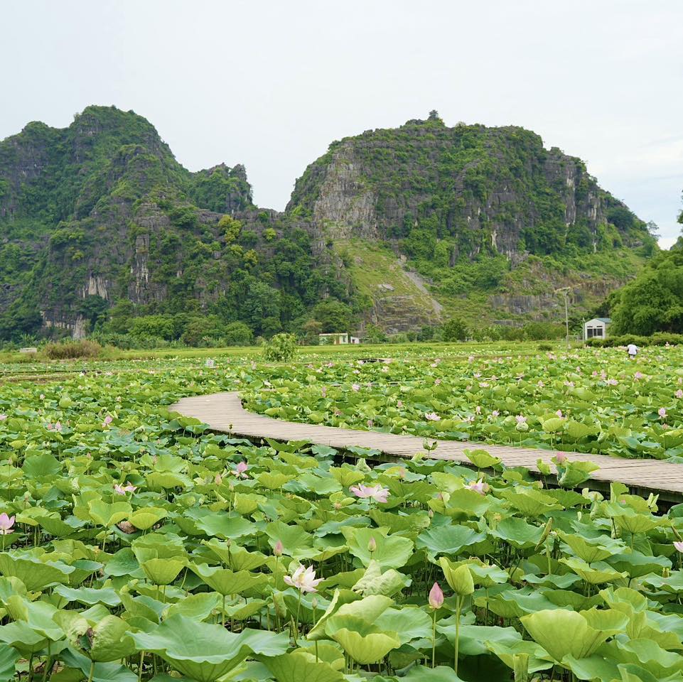 Ninh Binh