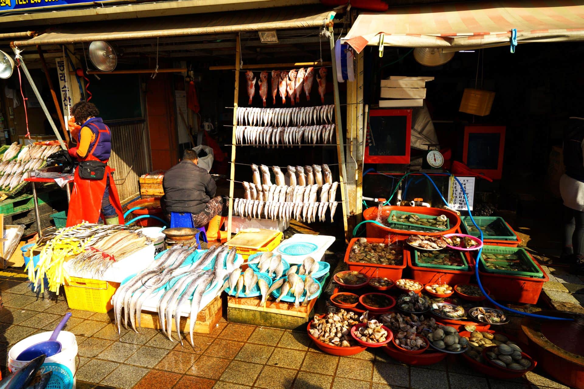 Jagalchi Fish Market