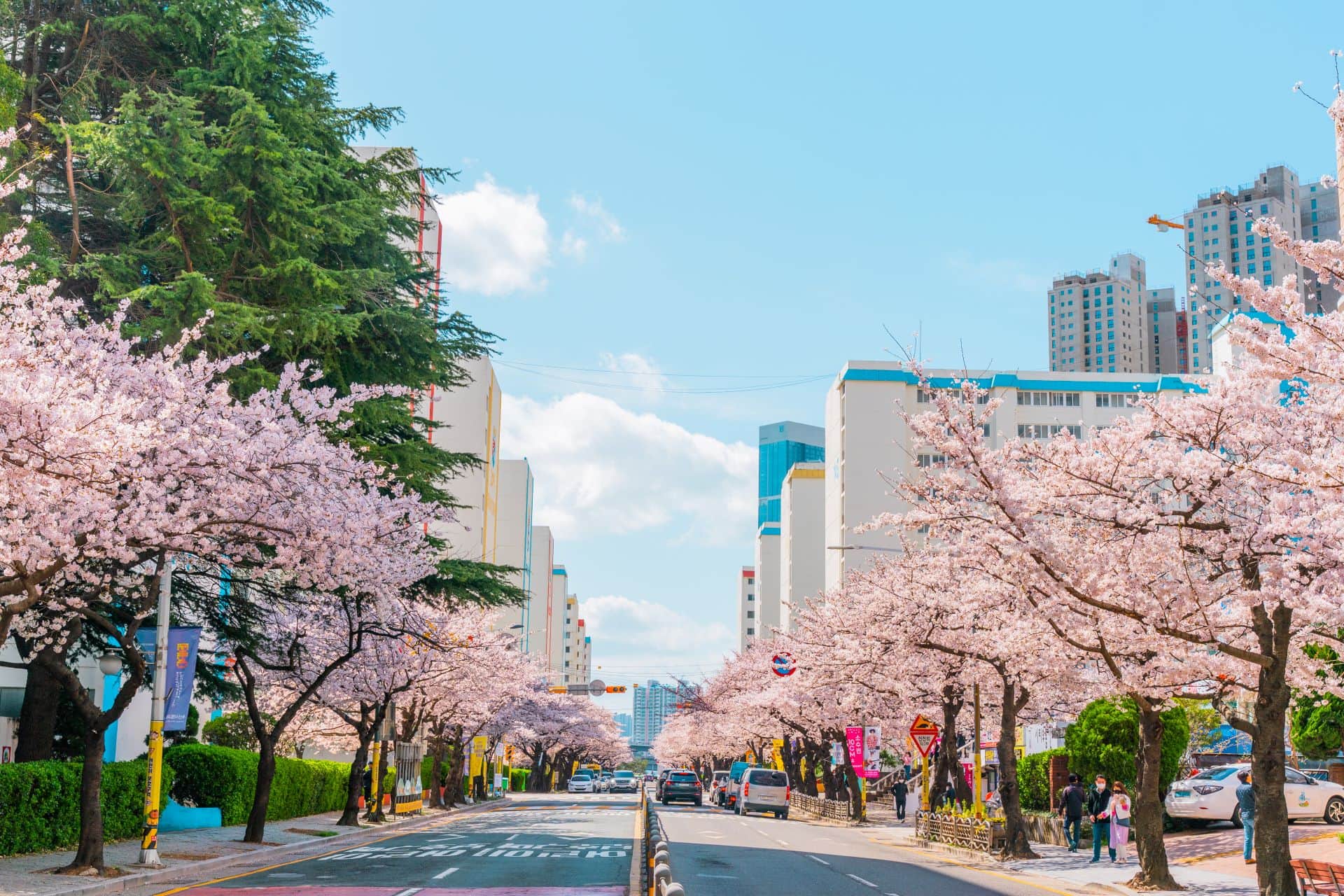 Busan