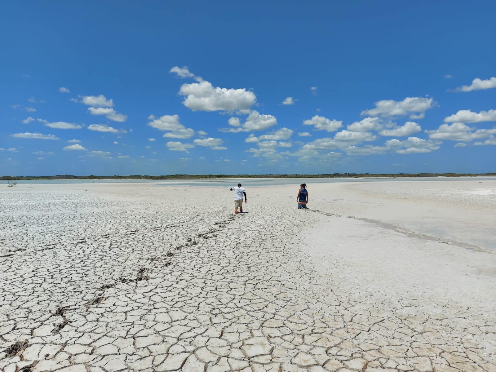 Rio Lagartos - Ek Balam - Cenote