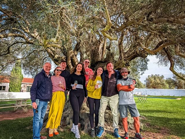 7. Vineyard pic Medium.jpeg