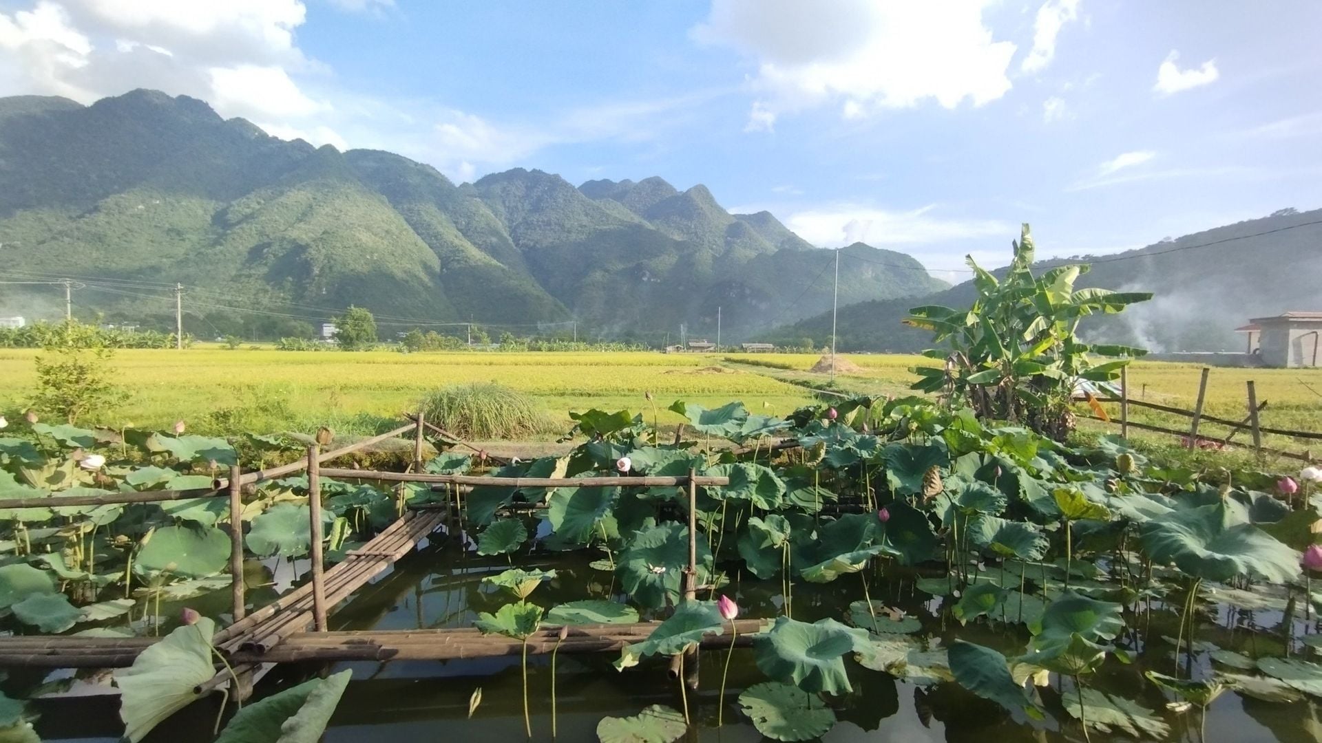 Mai Chau