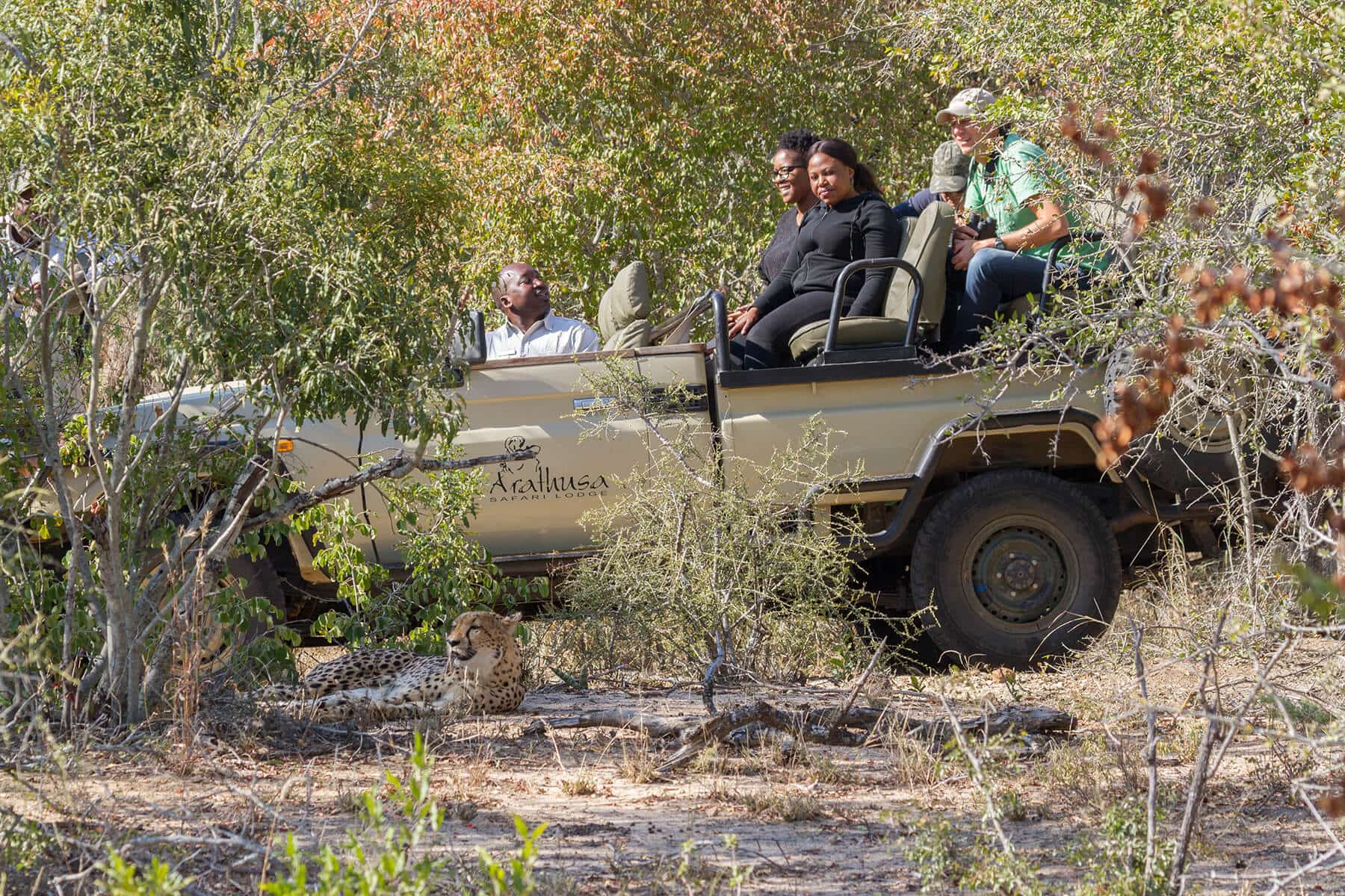 Experience safari at Arathusa Safari Lodge