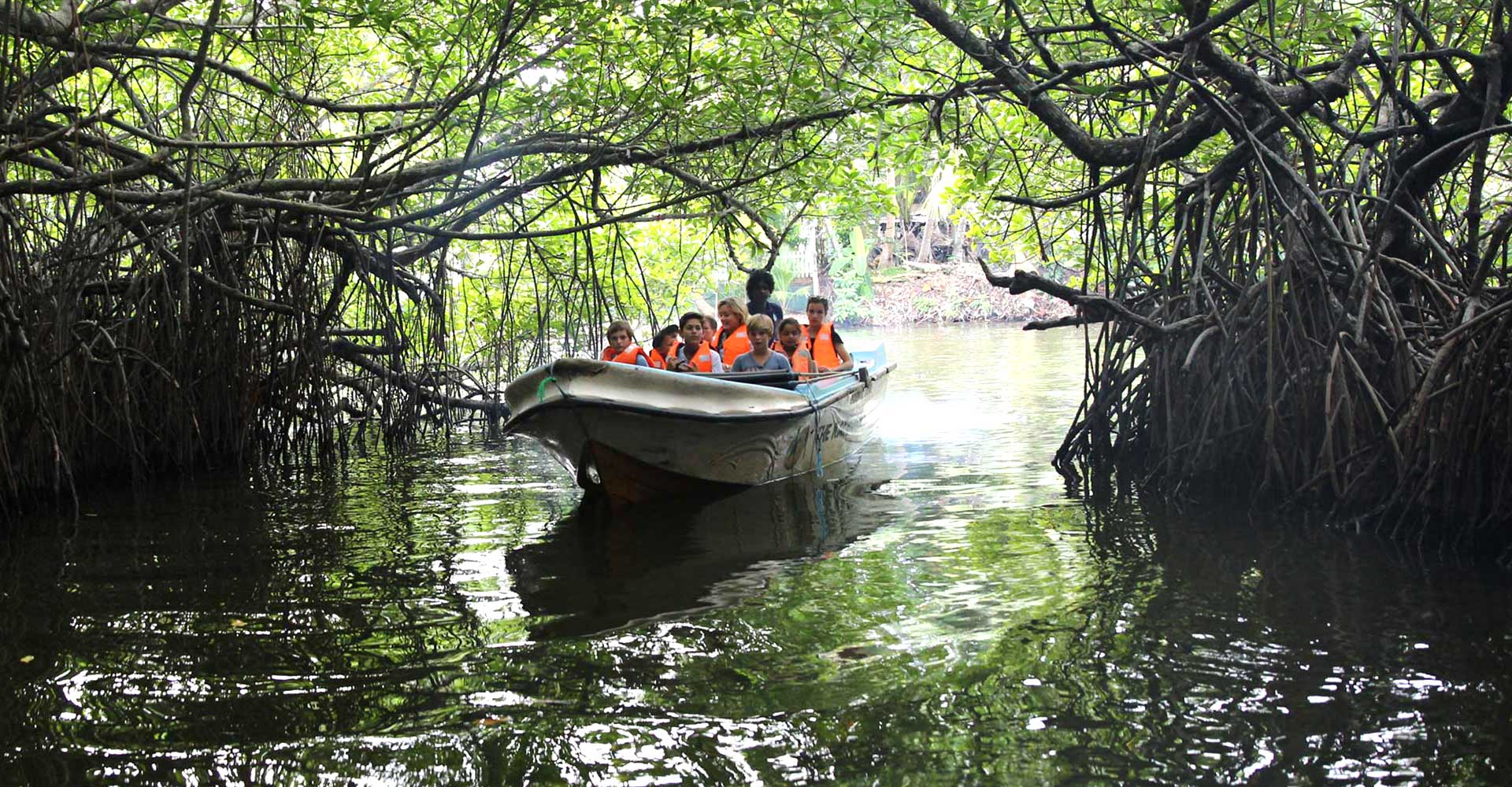 Madu River Boat Safari