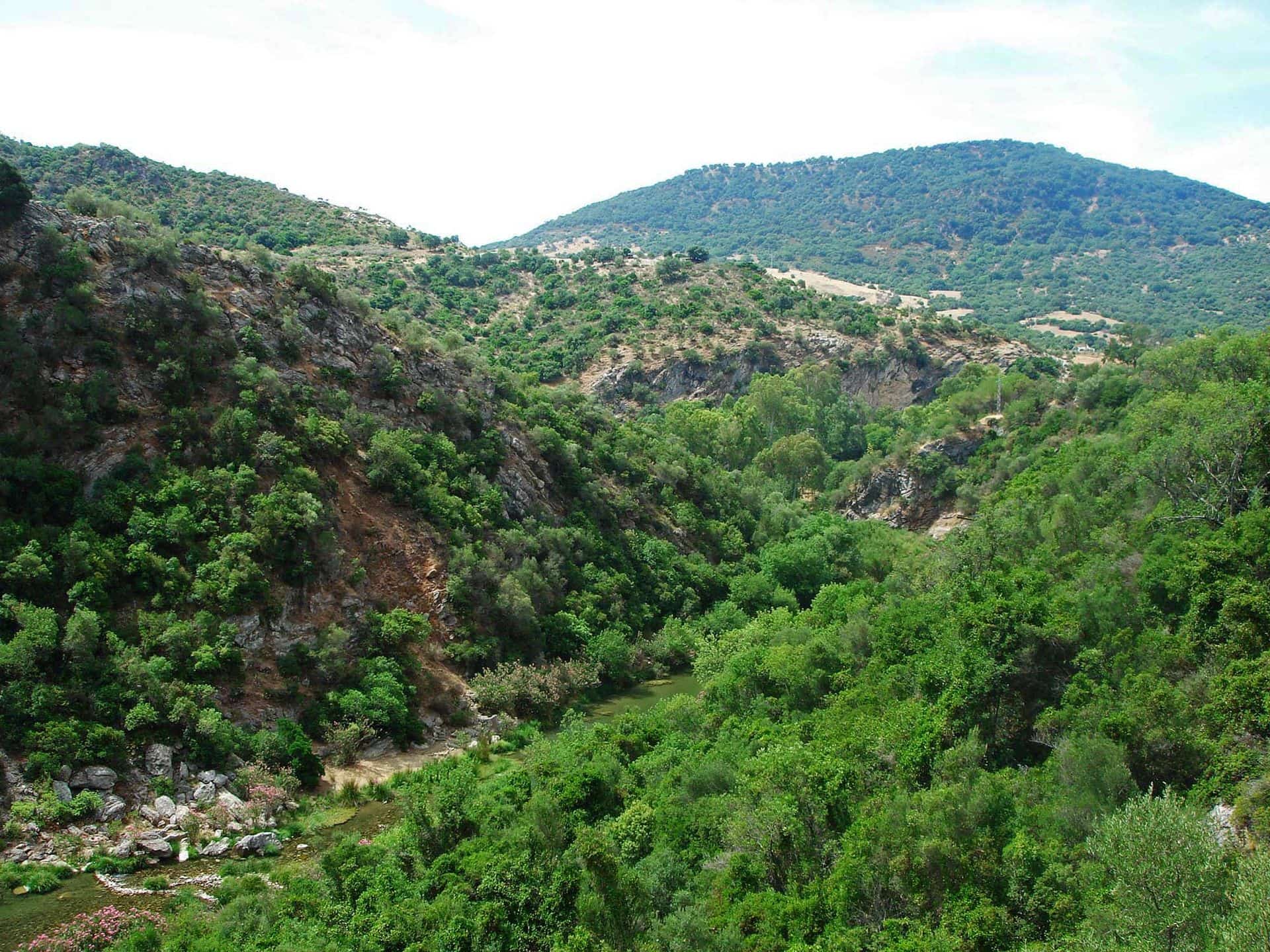 Cañón de las Buitreras