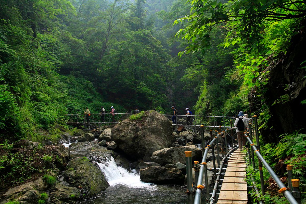 world-natural-heritage