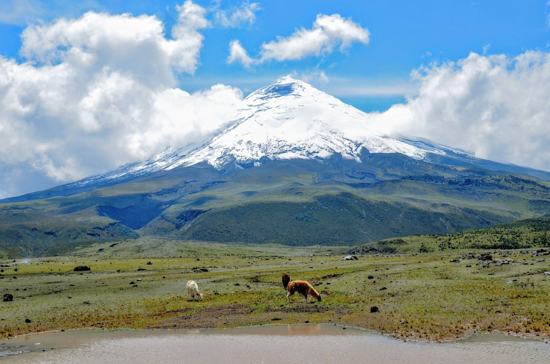 Cotopaxi NP