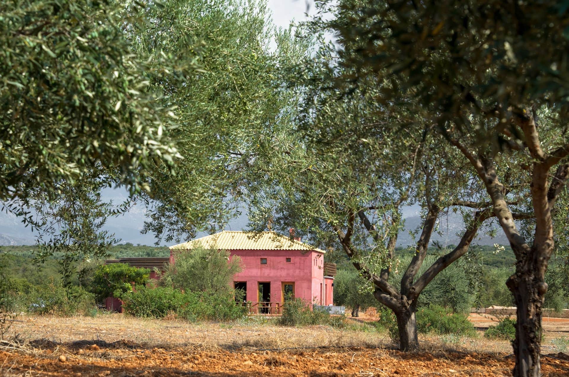 houses 2