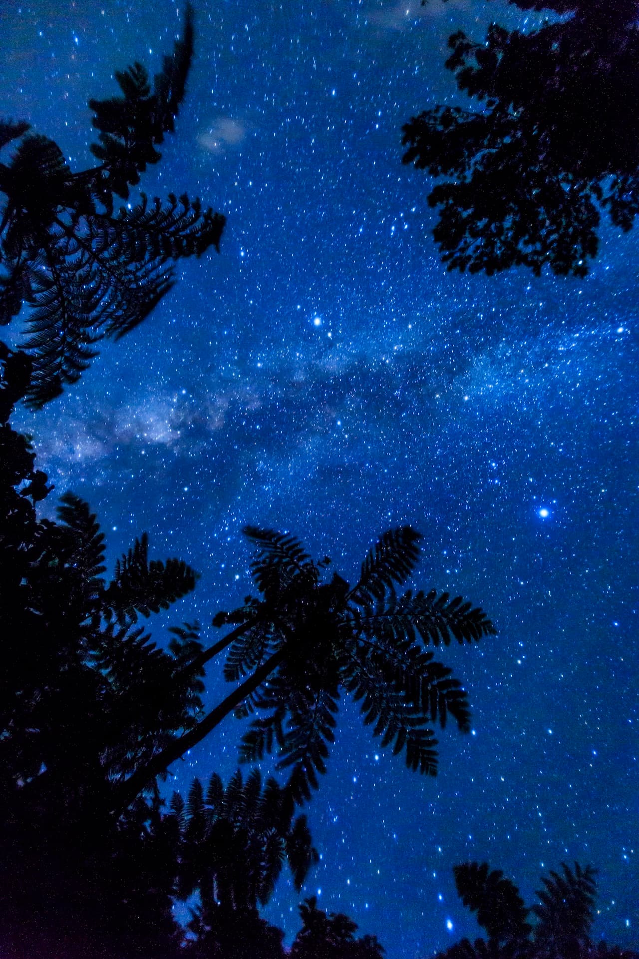 Stargazing, Japan © OCVB