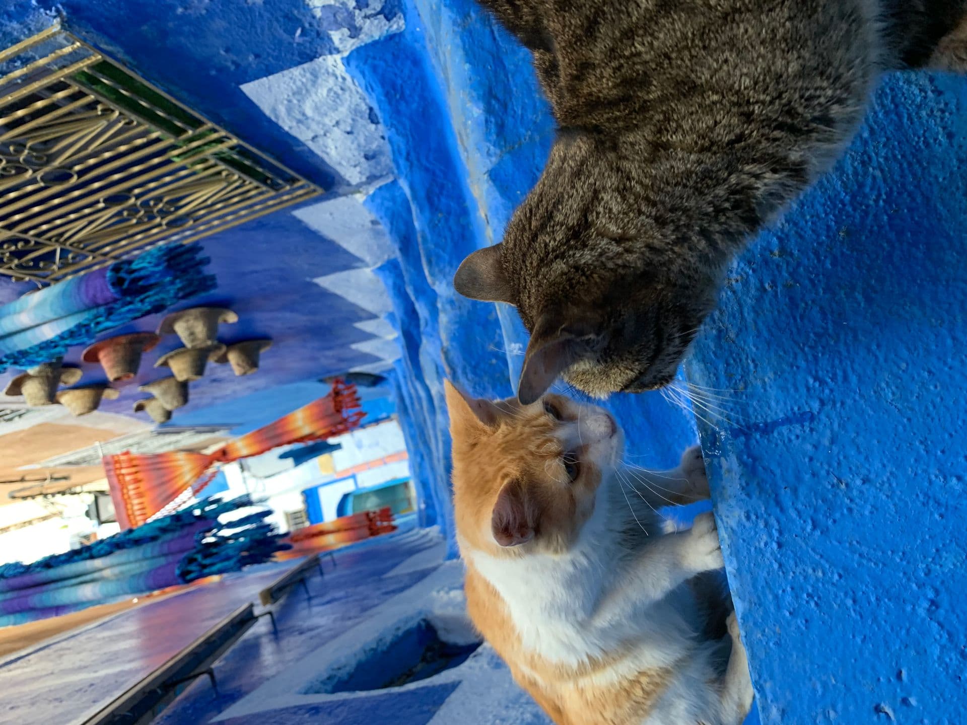 Chefchaouen, Morocco