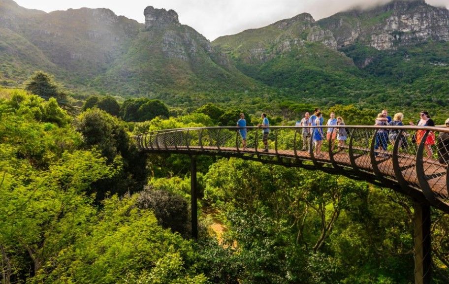 kirstenbosch national botanical garden
