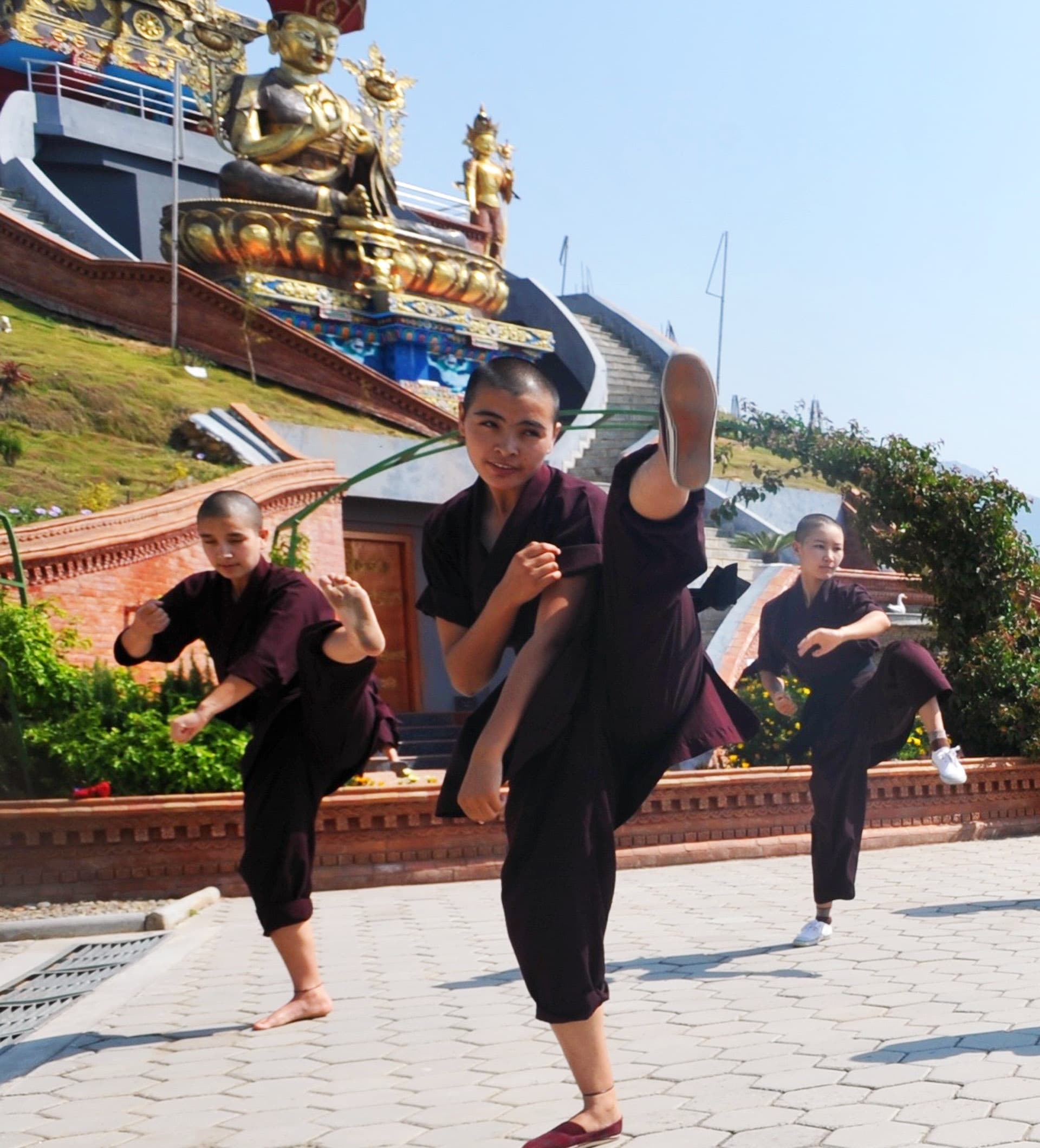 Kung Fu Nuns