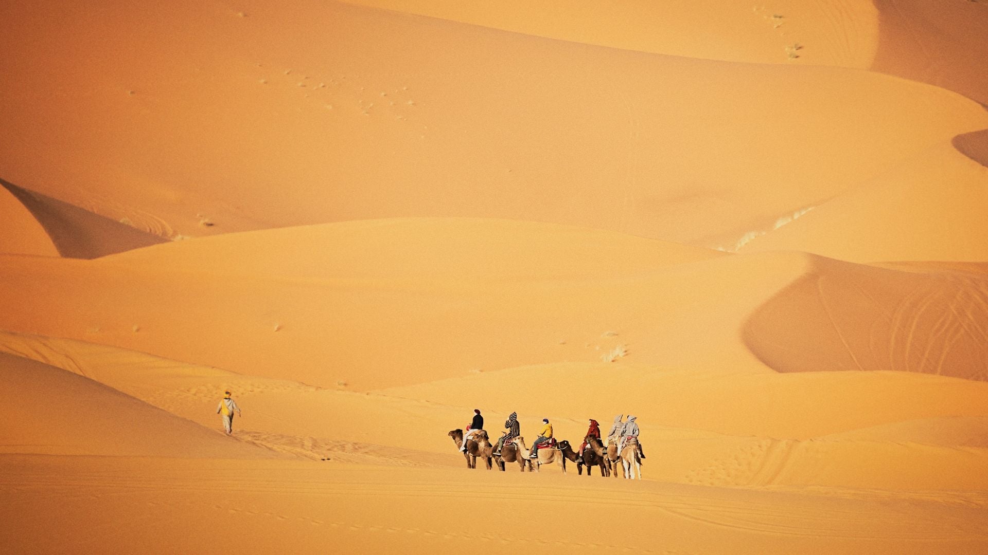 Morocco desert experience