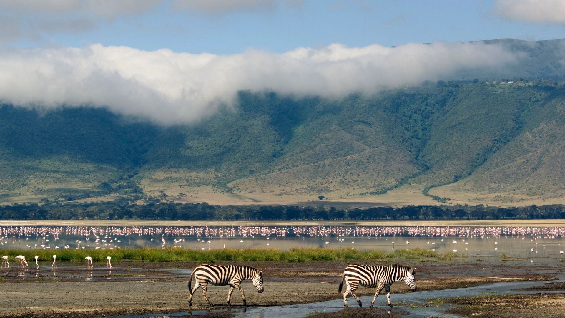 ngorongoro