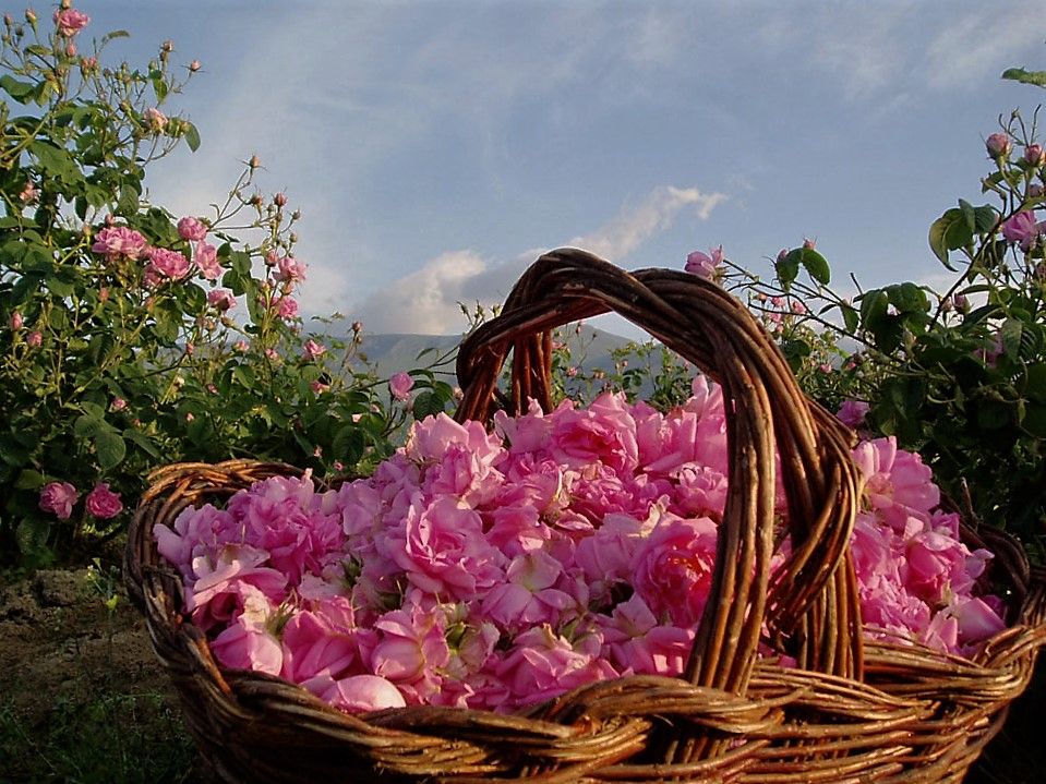 Dades Valley,Morocco