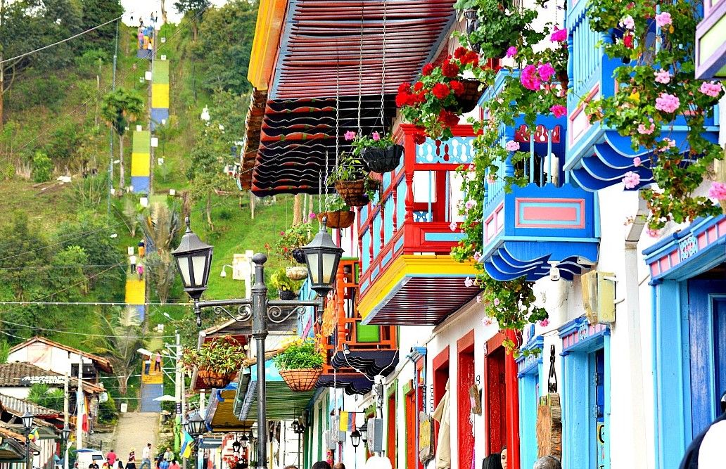 Salento & Cocora Valley