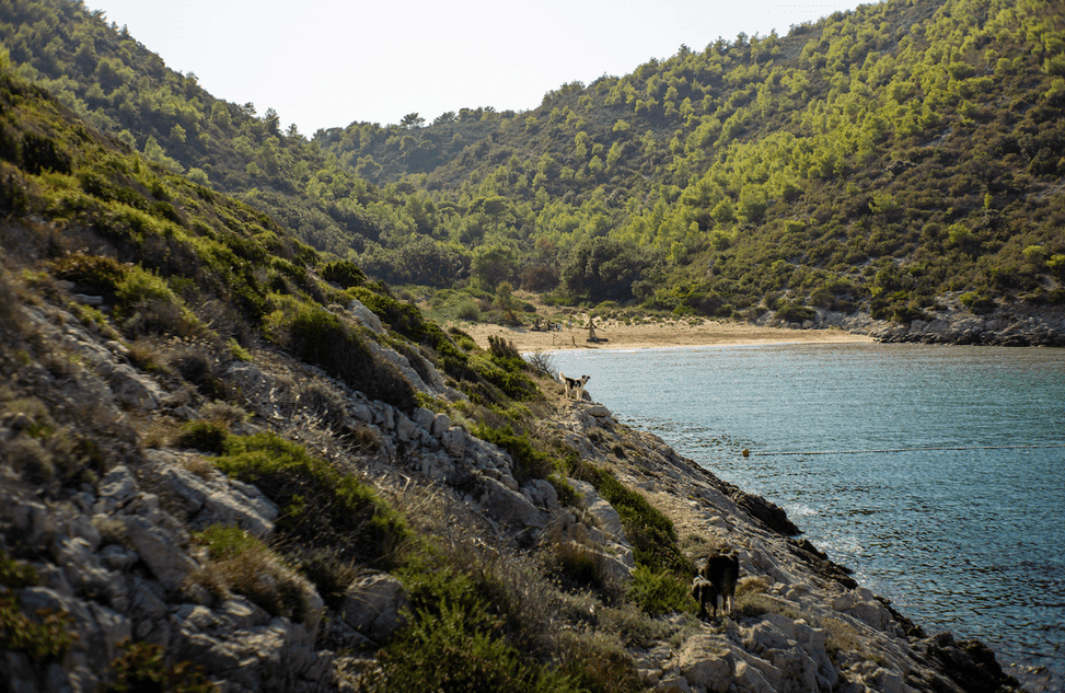 Vis Island