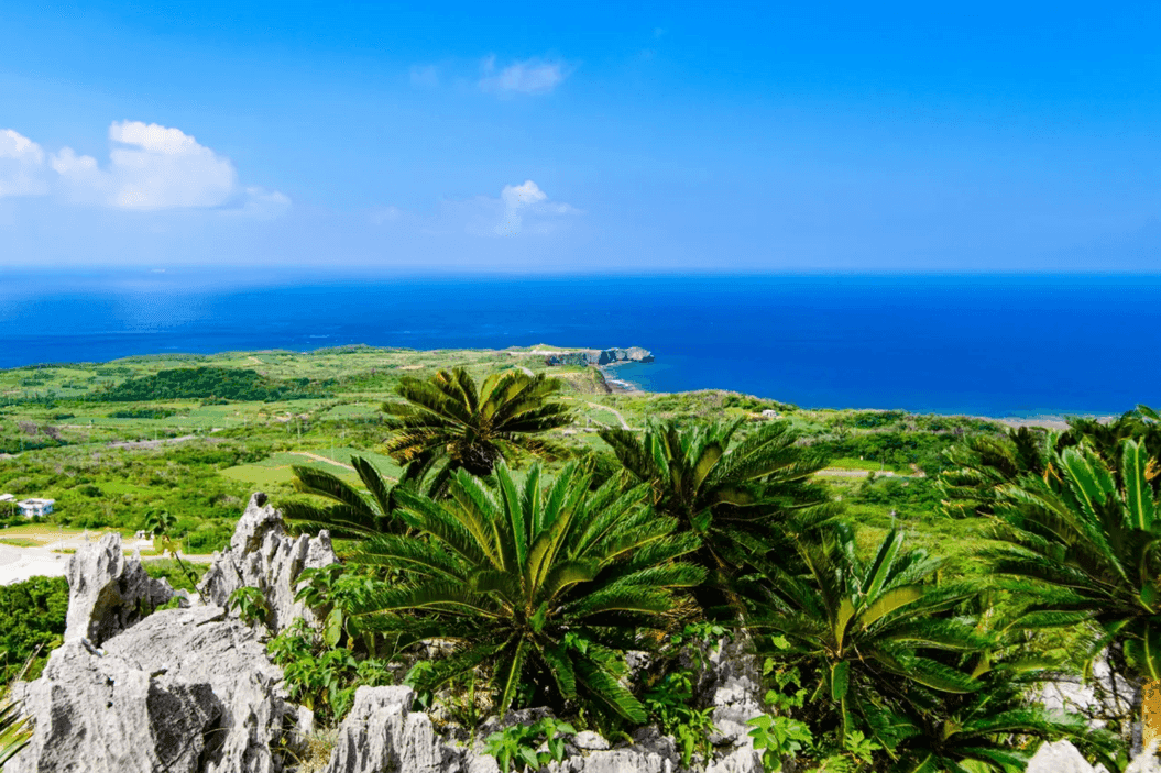 Yambaru National Park, Japan