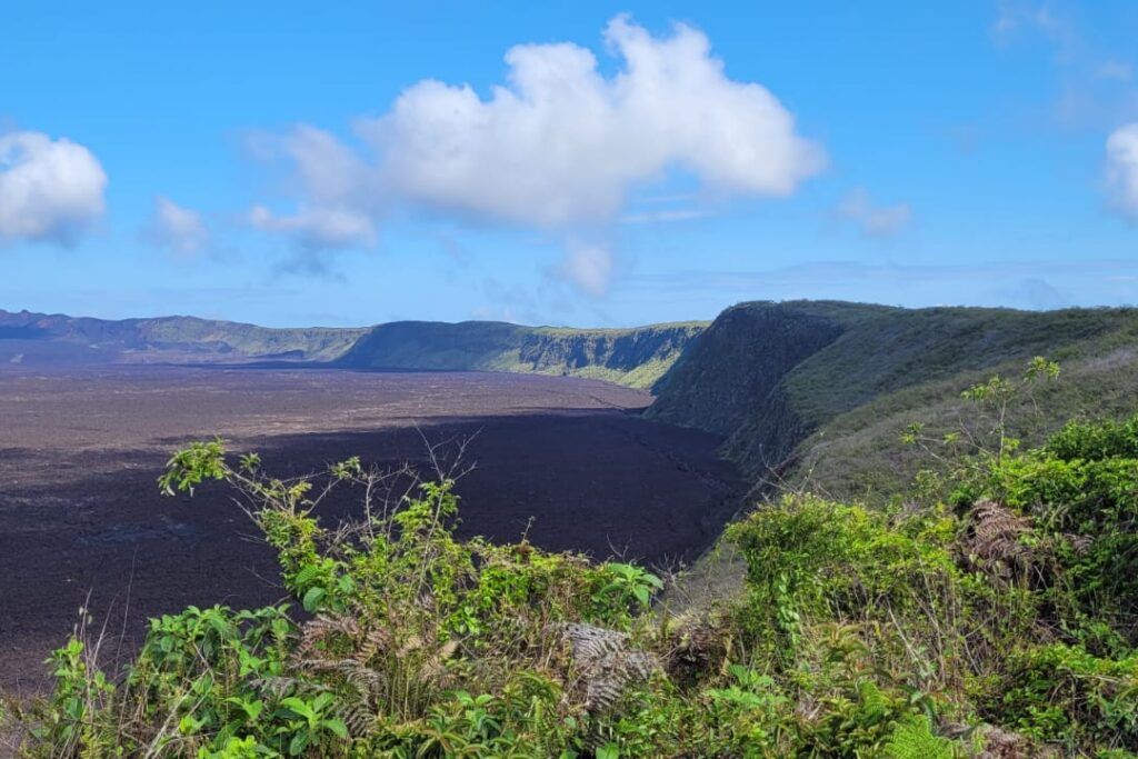 Sierra Negra Volcano