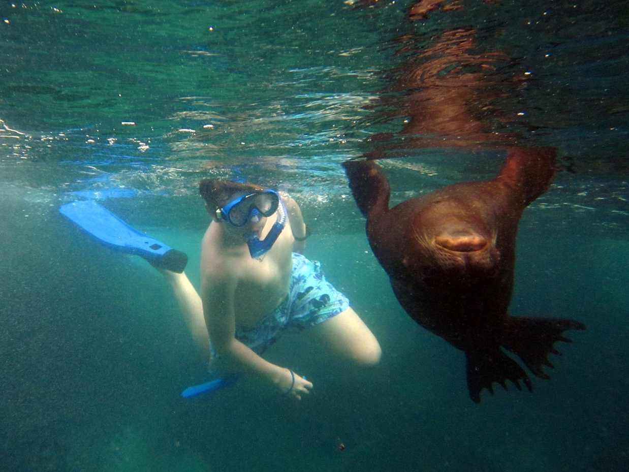 Snorkeling in Galapagos