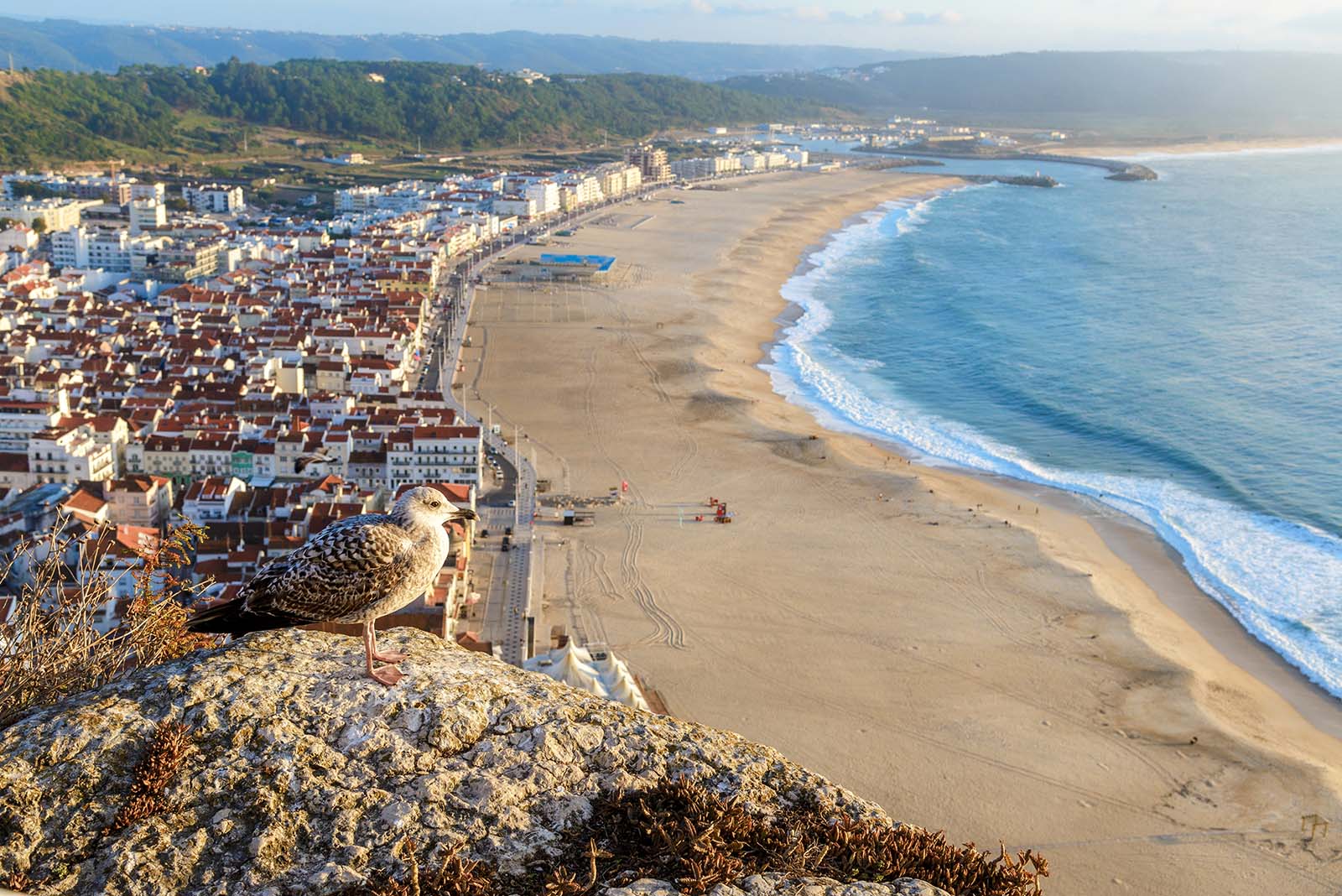 Aerial view of Nazare city and Praia da Nazare Beach, Portugal © Shutterstock