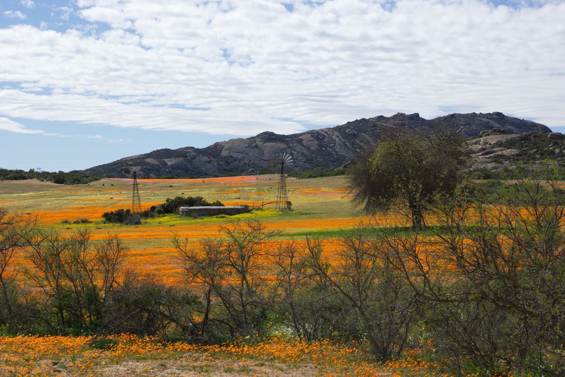 Namaqualand, South Africa