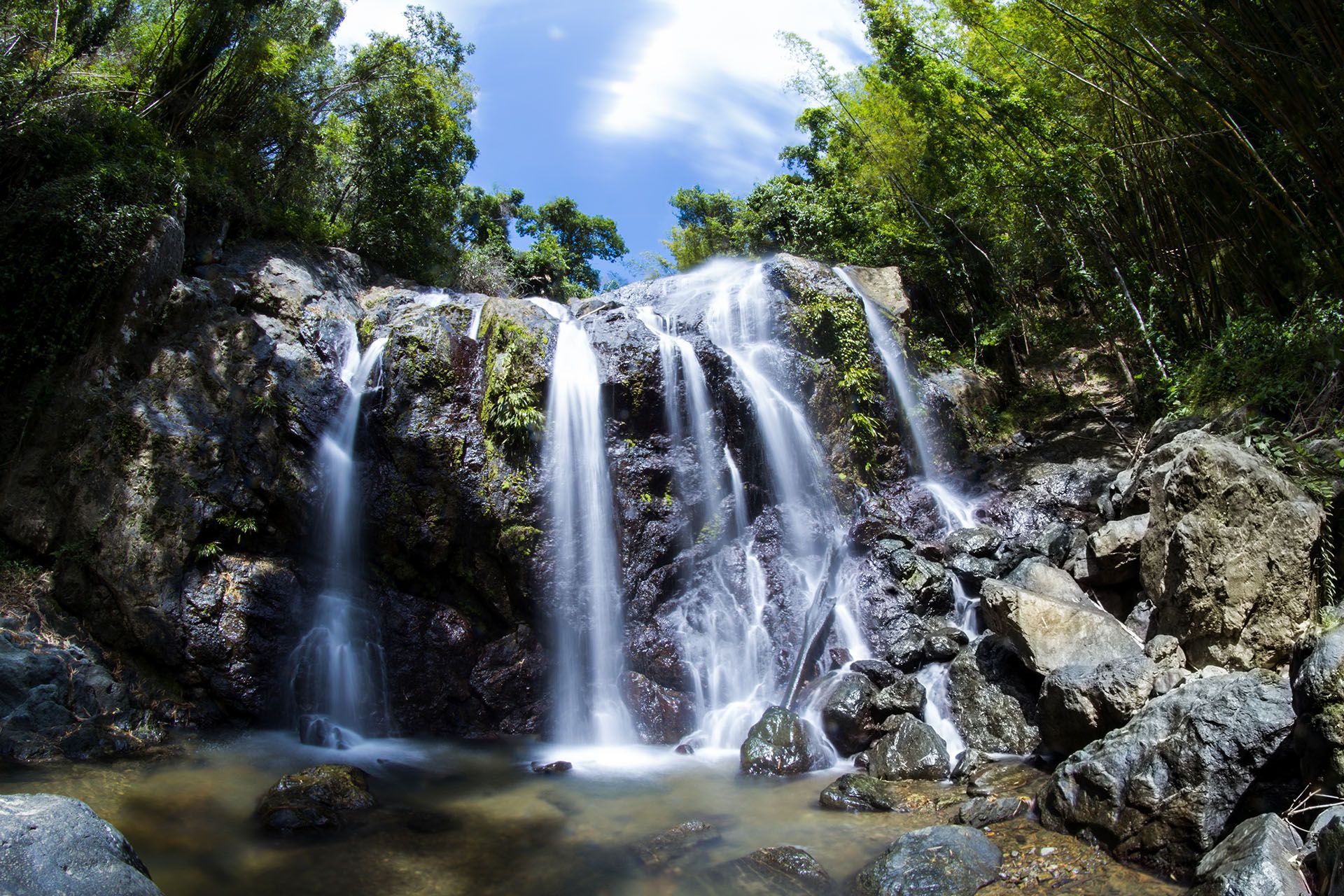 16 Best Things To Do In Trinidad Tobago Rough Guides
