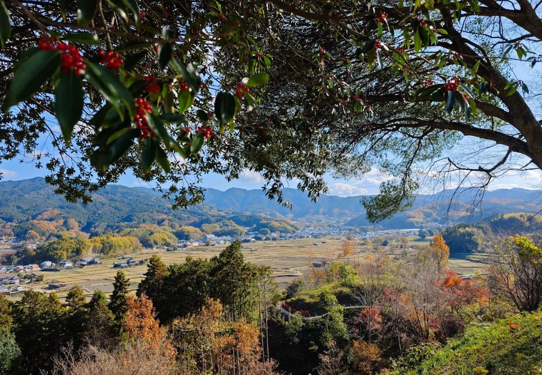 The view from Amagashi Hill, Japan © Dre Roelandt