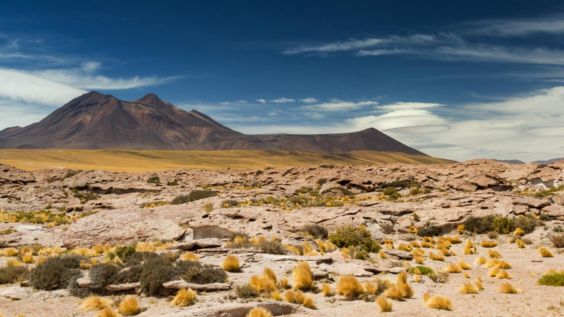 Atacama desert, Chile © SelimBT/Shutterstock