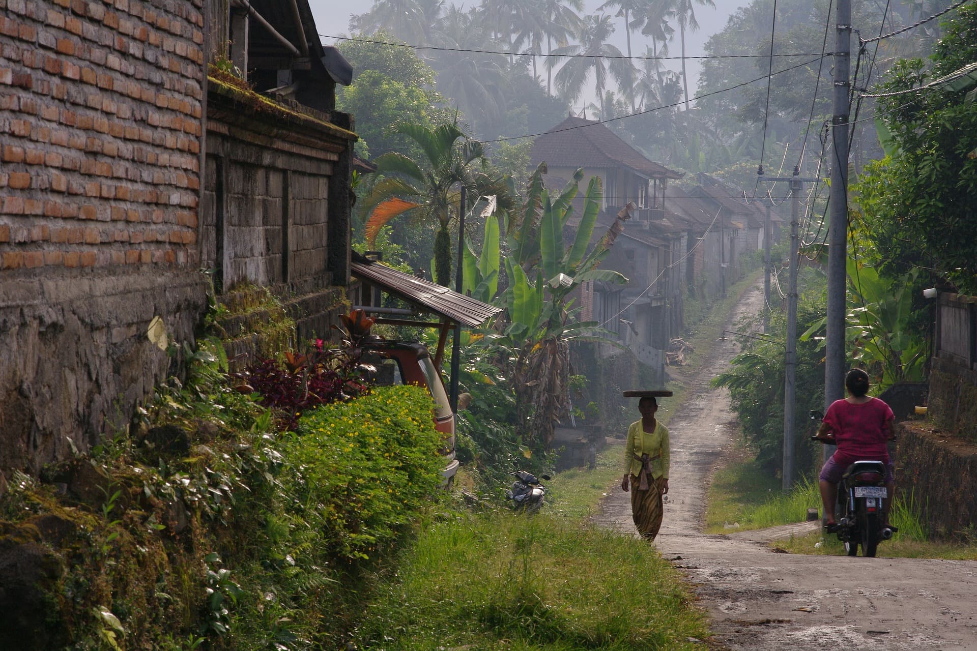 Bali countryside