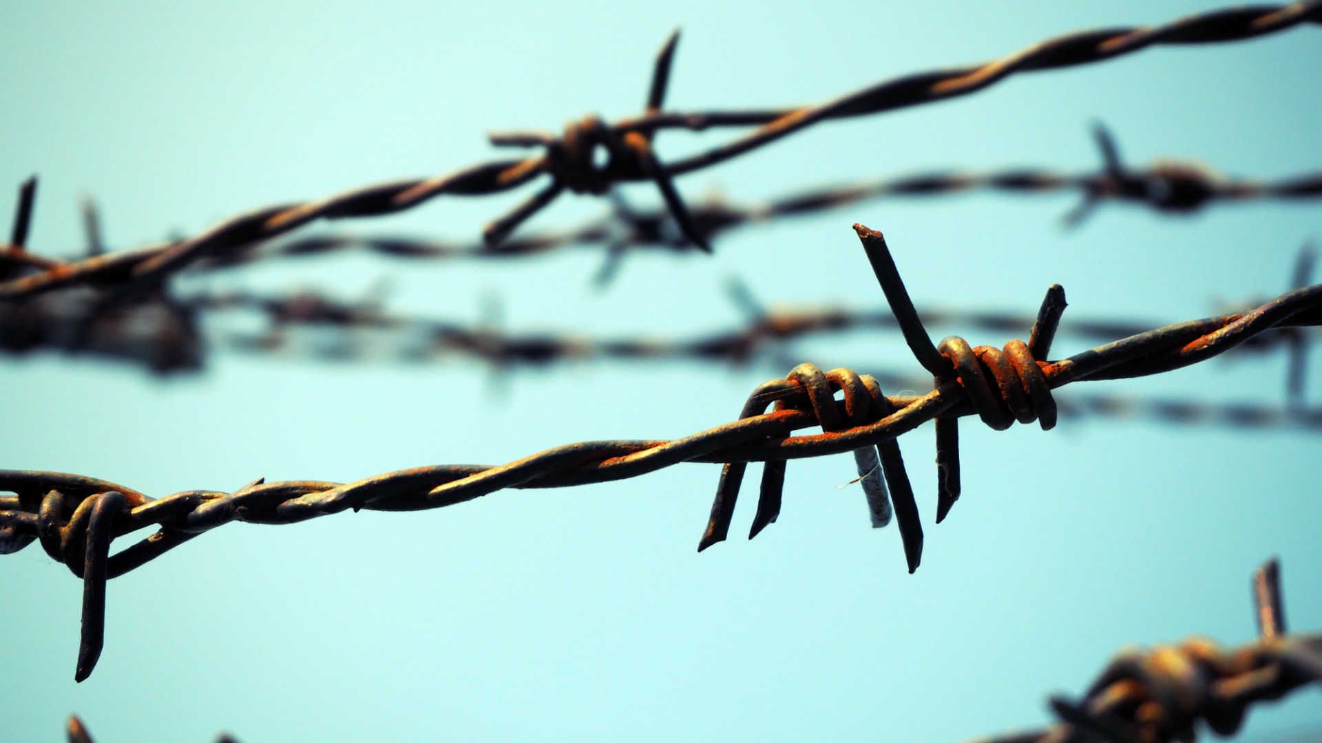 barbed-wire-shutterstock_638568187