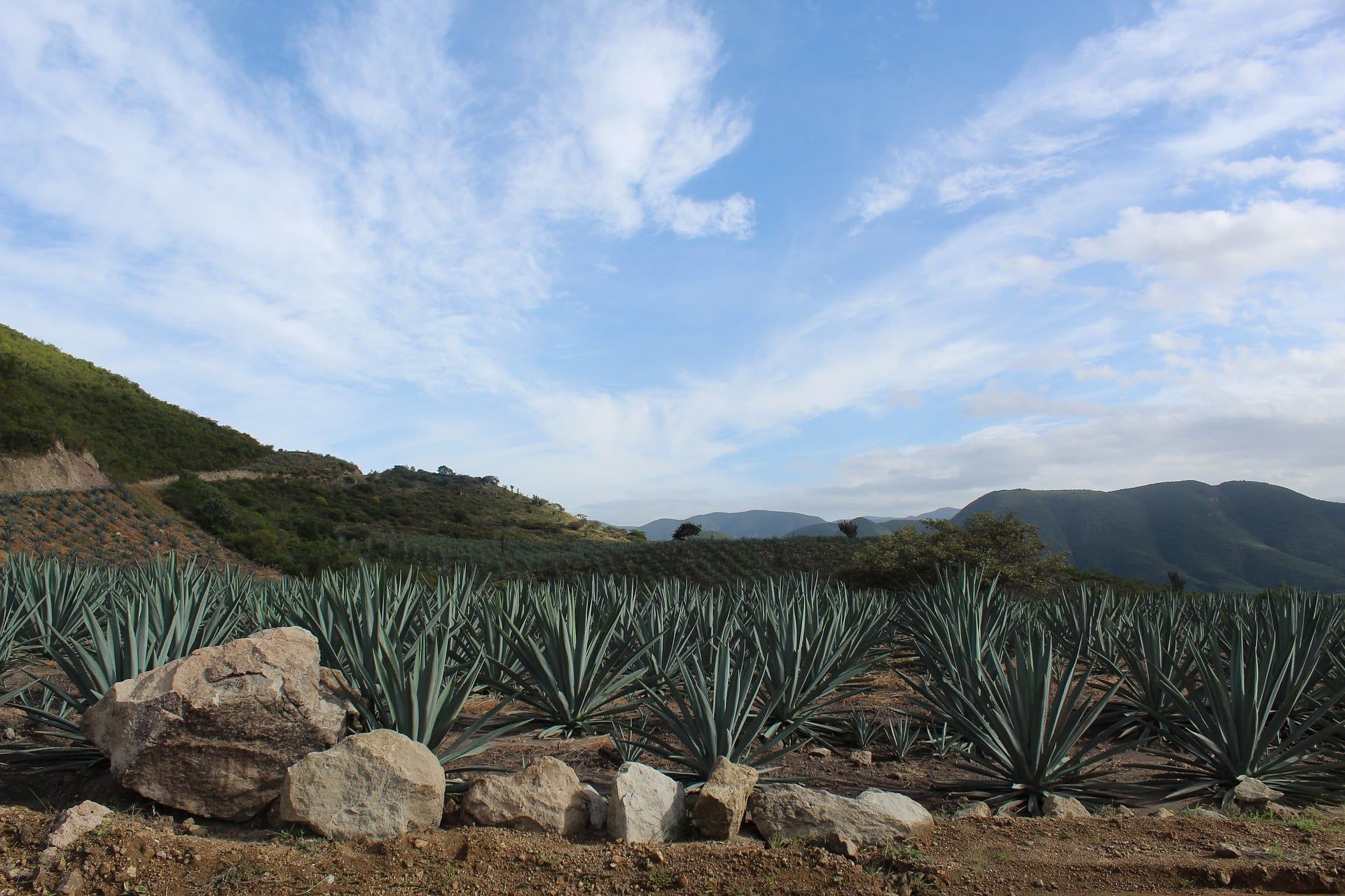Oaxaca Landscape