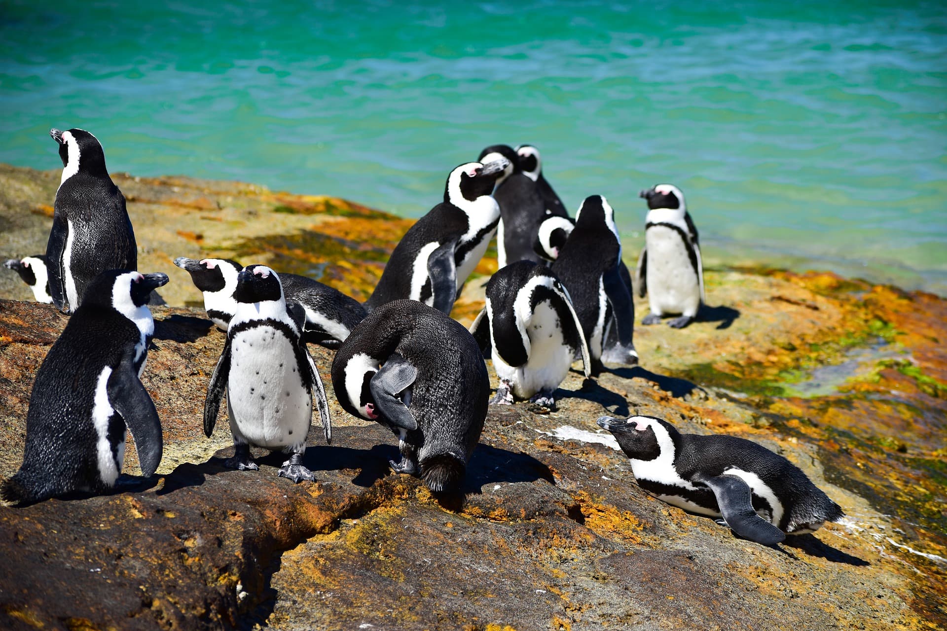 boulders beach