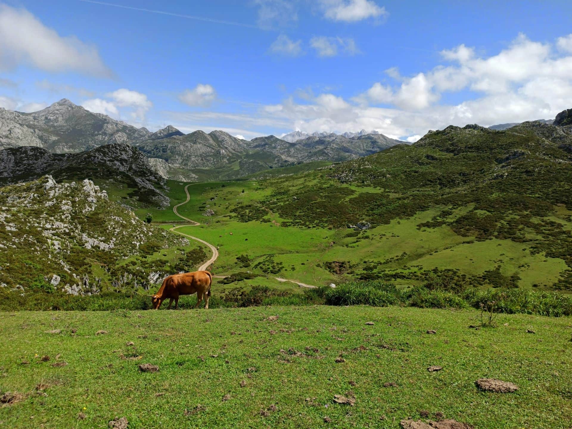 Covadonga