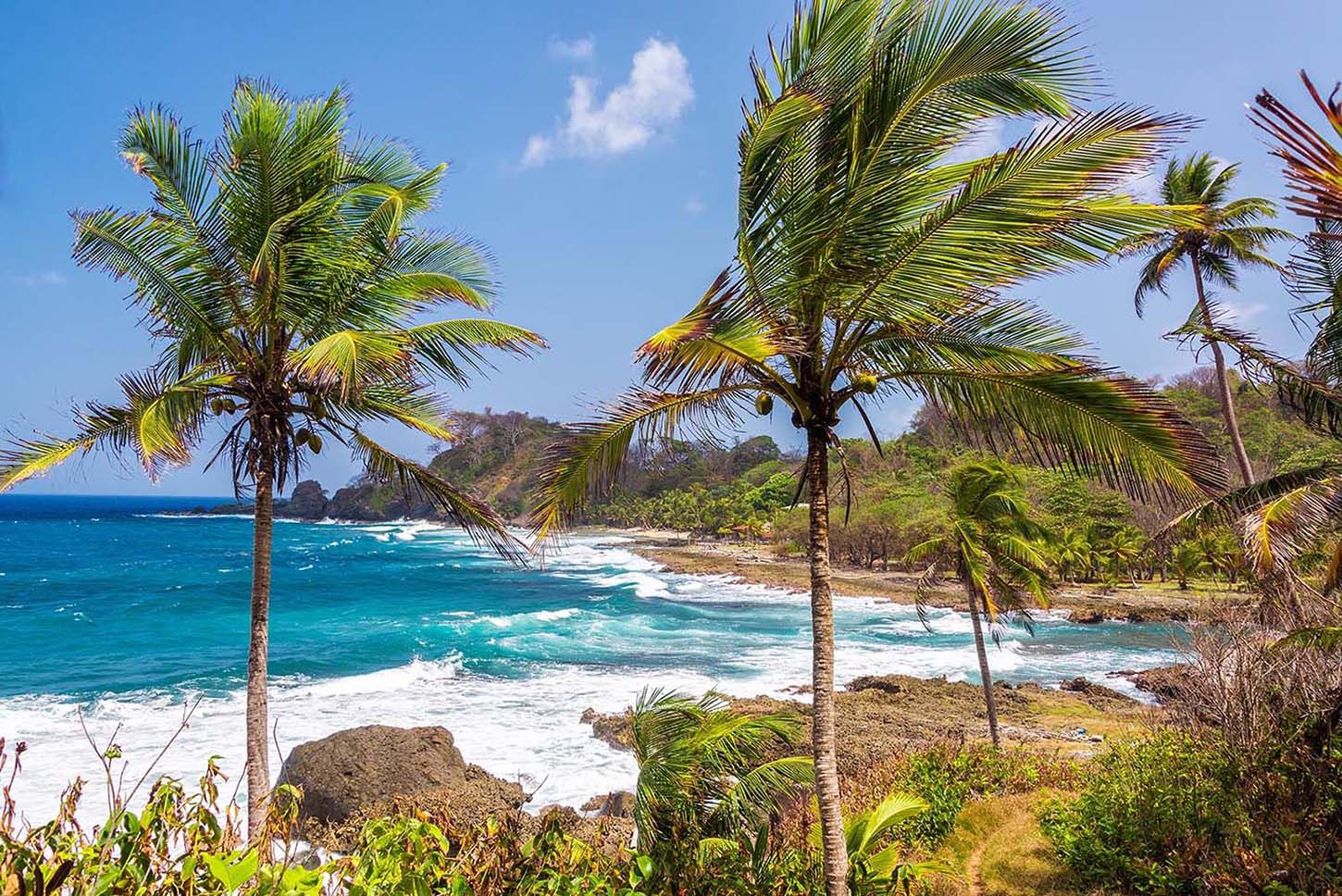 Palm trees and Caribbean coastline near Capurgana, Colombia © Shutterstock