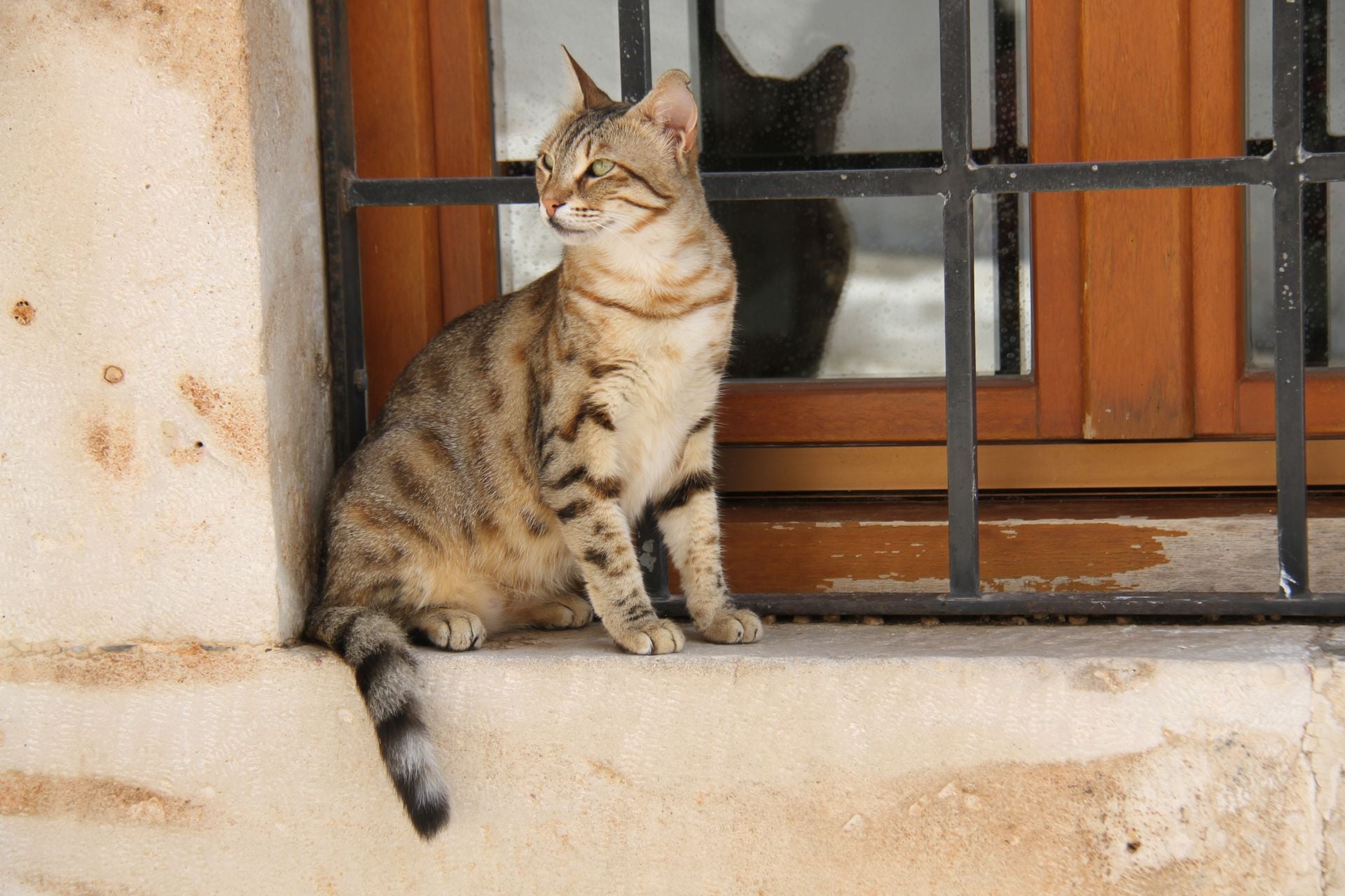 rethymno, crete, greece