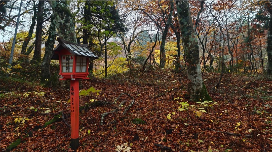 The trail of Mount Daisen, Japan © Dre Roelandt