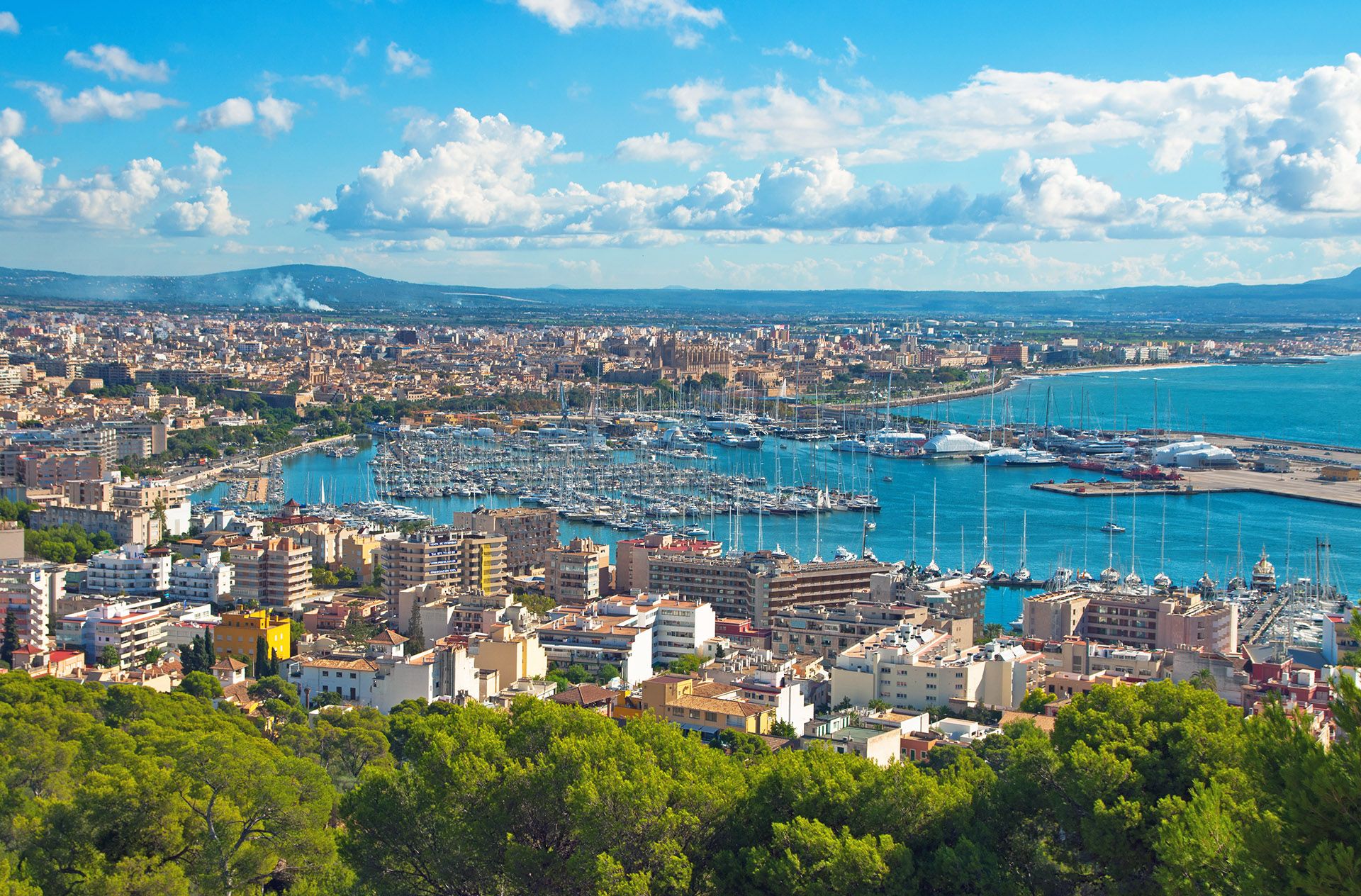 The City Palma de Majorca from a bird's eye view © Olga Yatsenko/Shutterstock