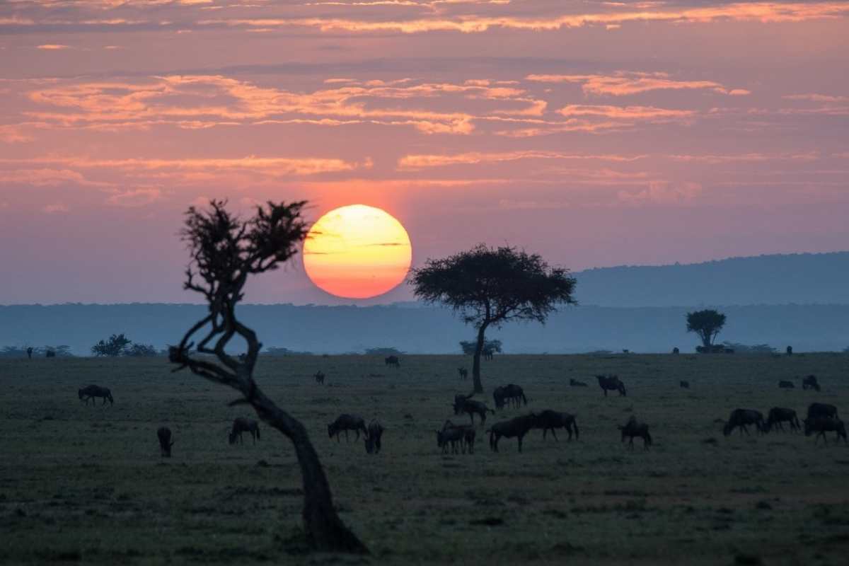 mara sunset