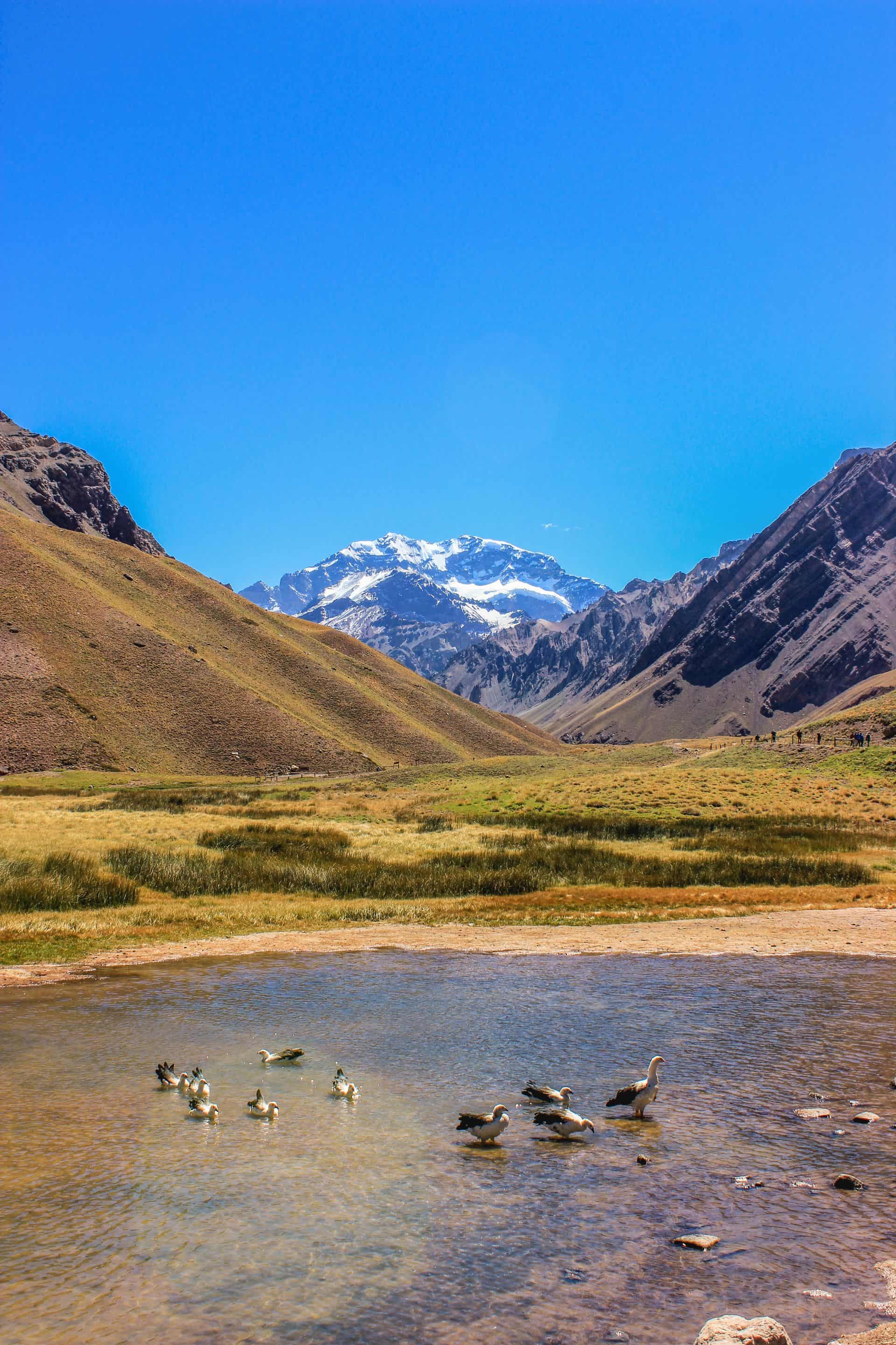 Aconcagua, Mendoza Province, Argentina