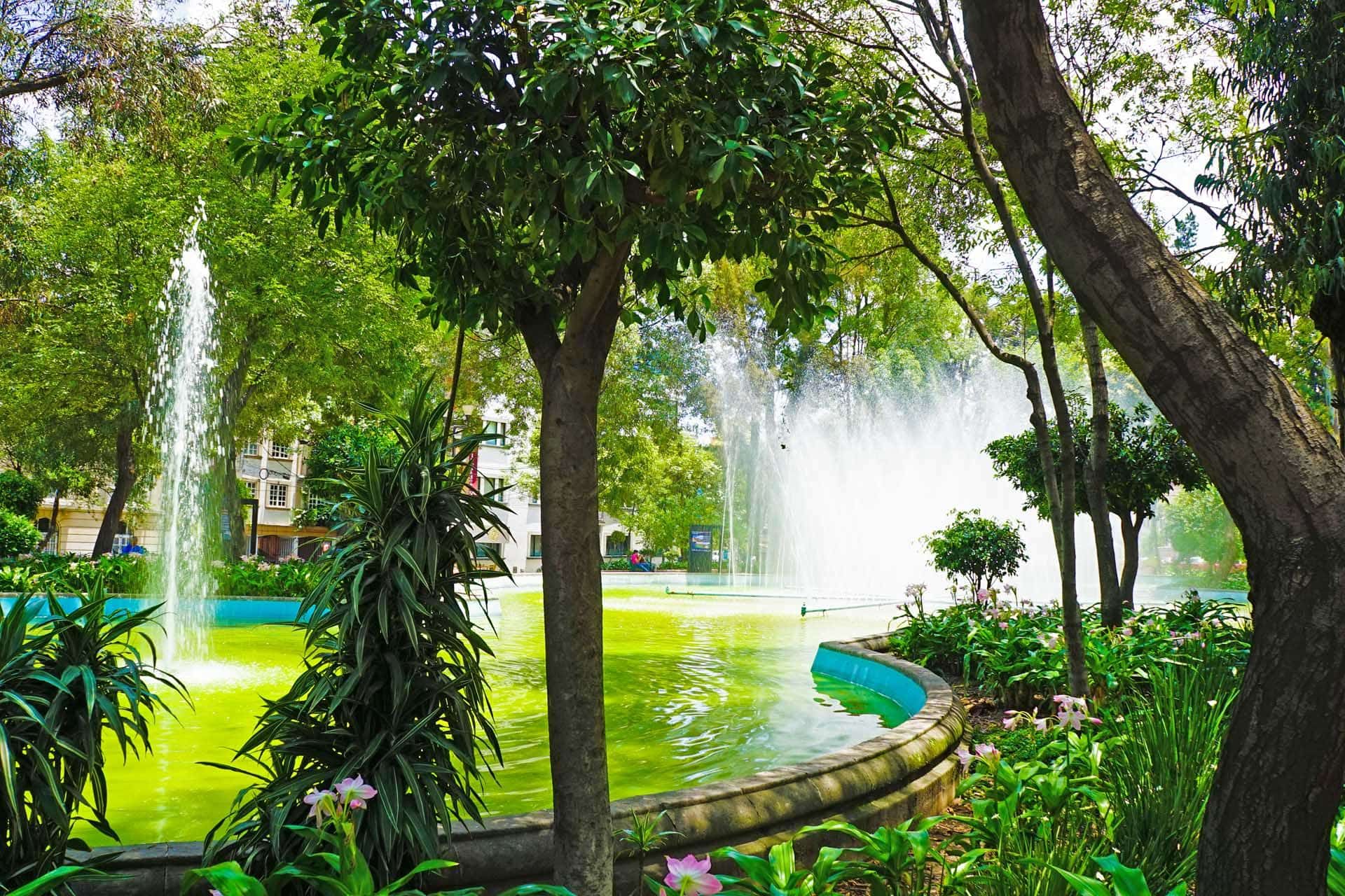 La Condesa, Mexico City