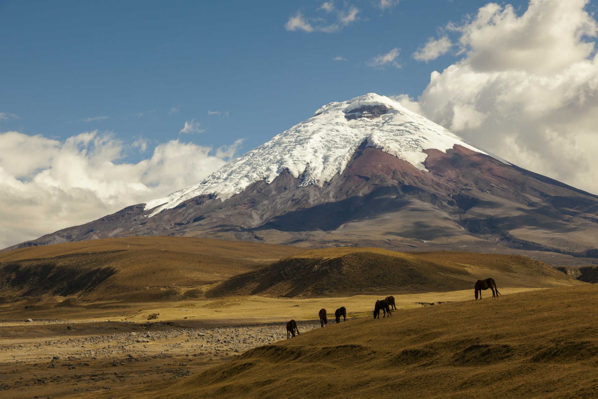 Cotopaxi