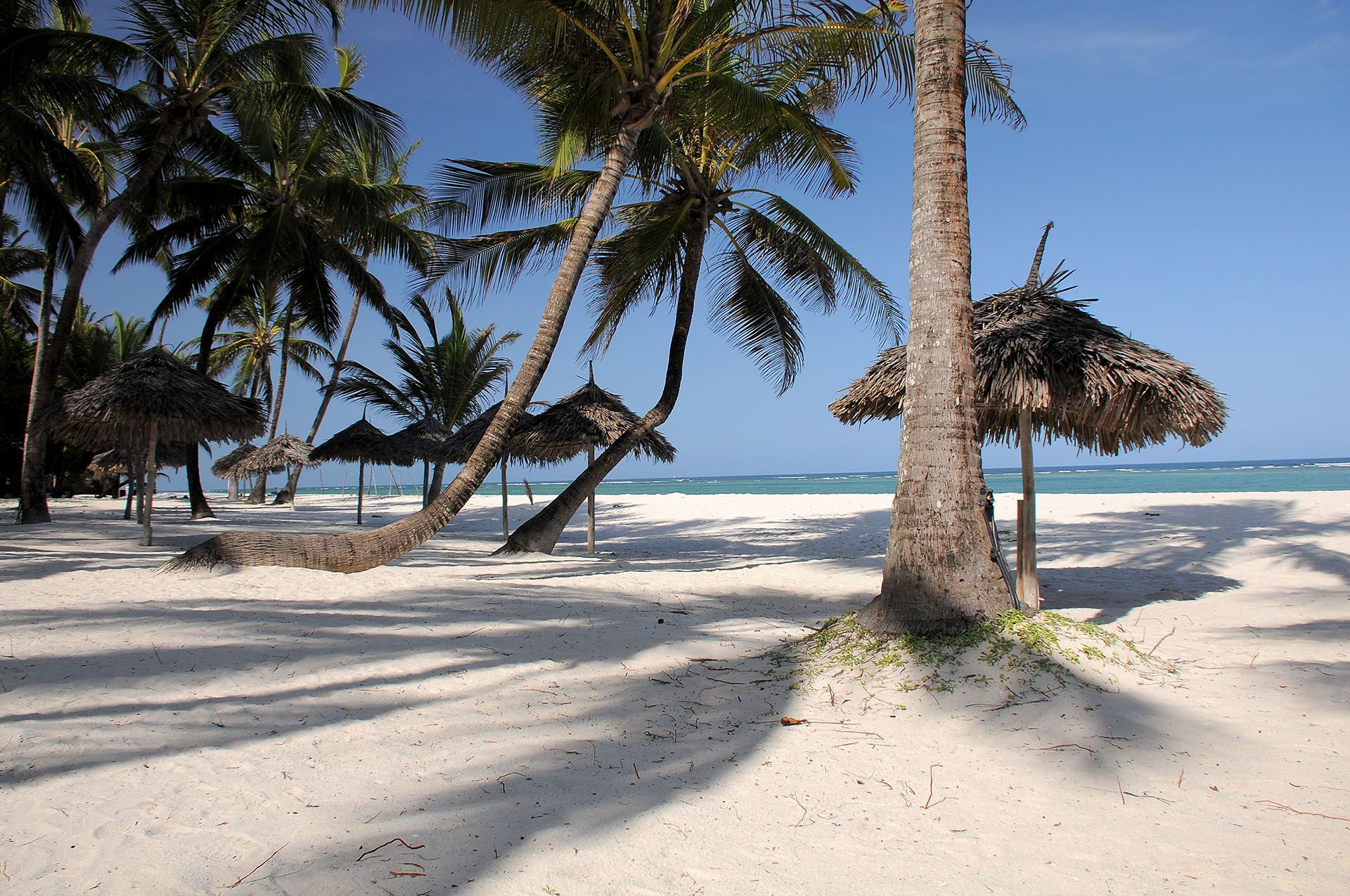10 Best Beaches In Kenya Our Top Picks Rough Guides 10 Best Beaches In Kenya Our Top Picks Rough Guides
