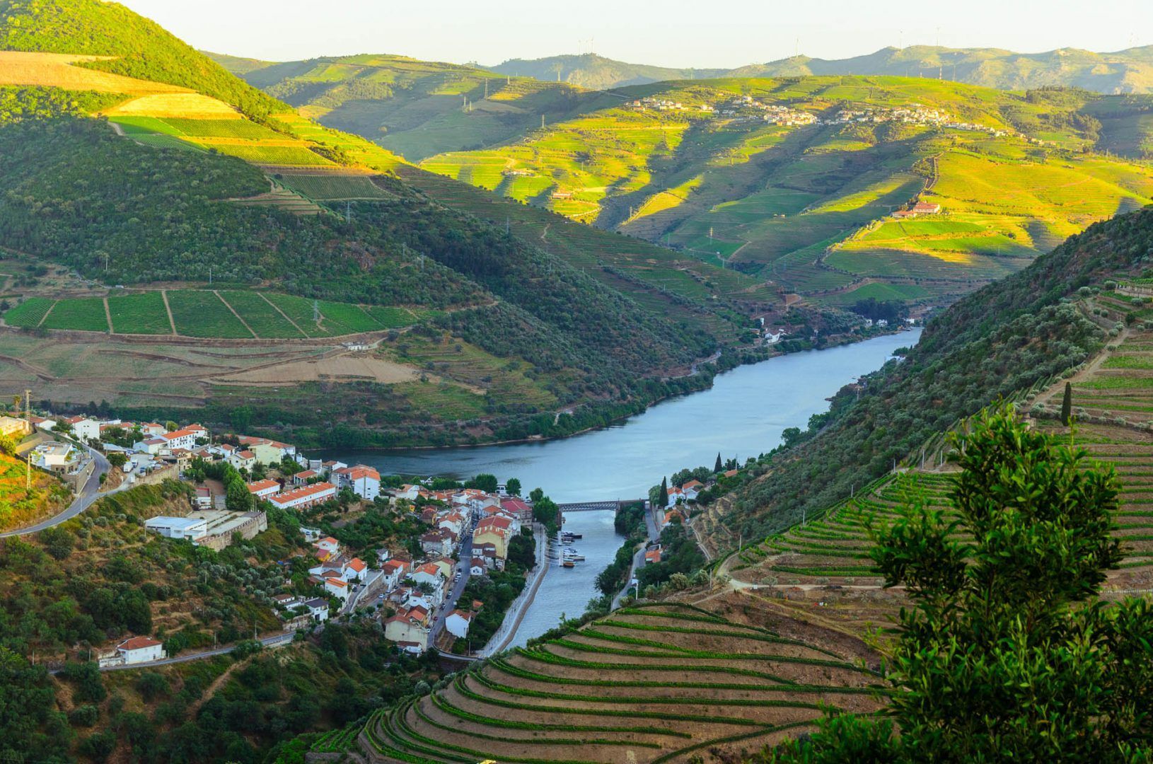 Douro Valley