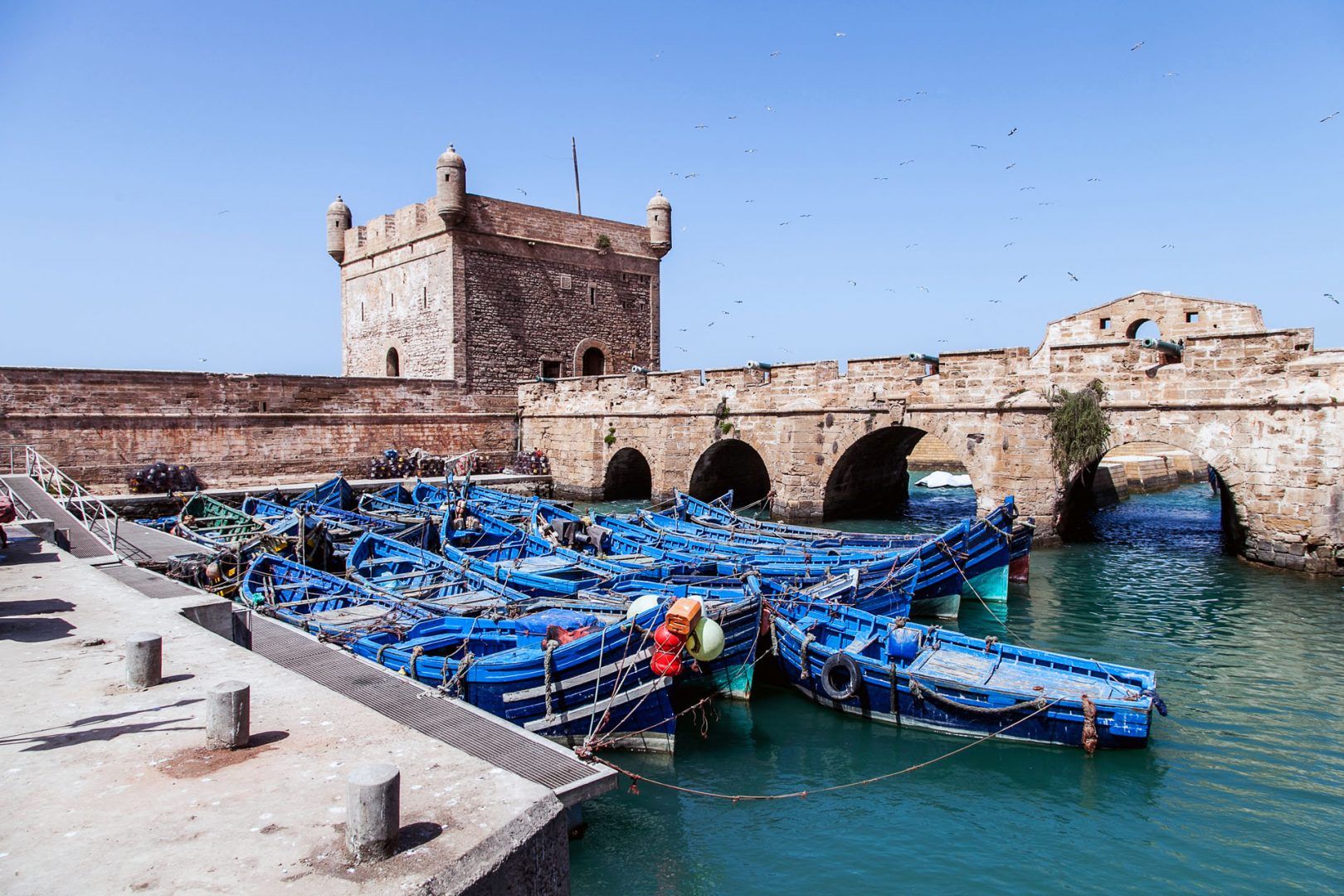 Essaouira-morocco-shutterstock_1684594054