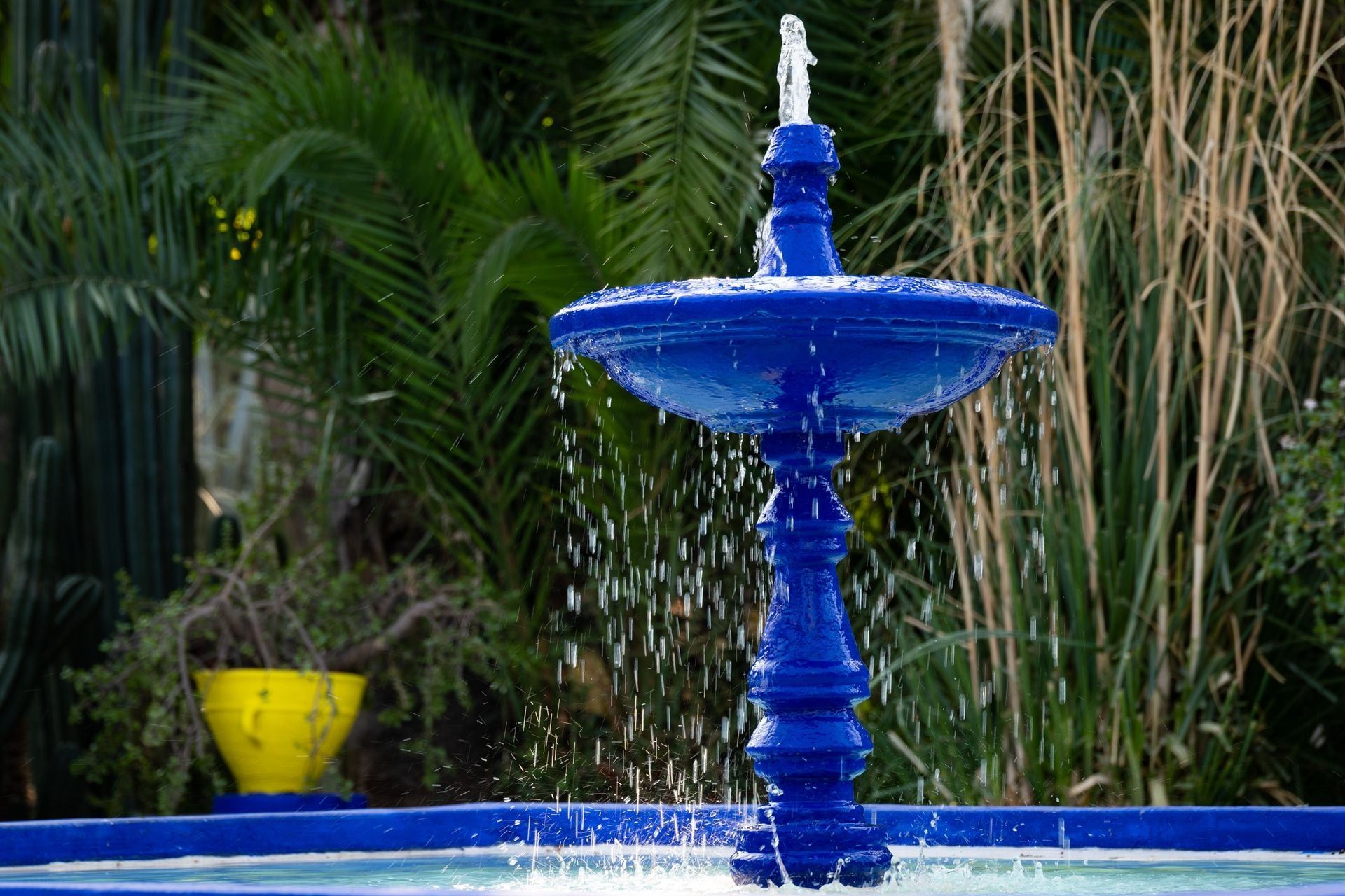 Majorelle Gardens