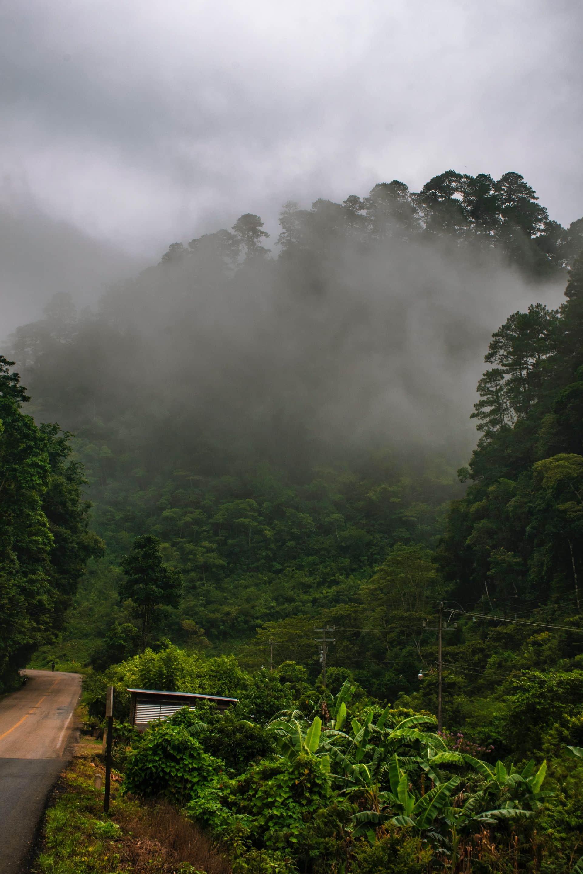 Chiapas roads, Mexico